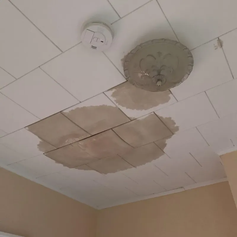 Ceiling Water Damage Repair in Kings County, CA