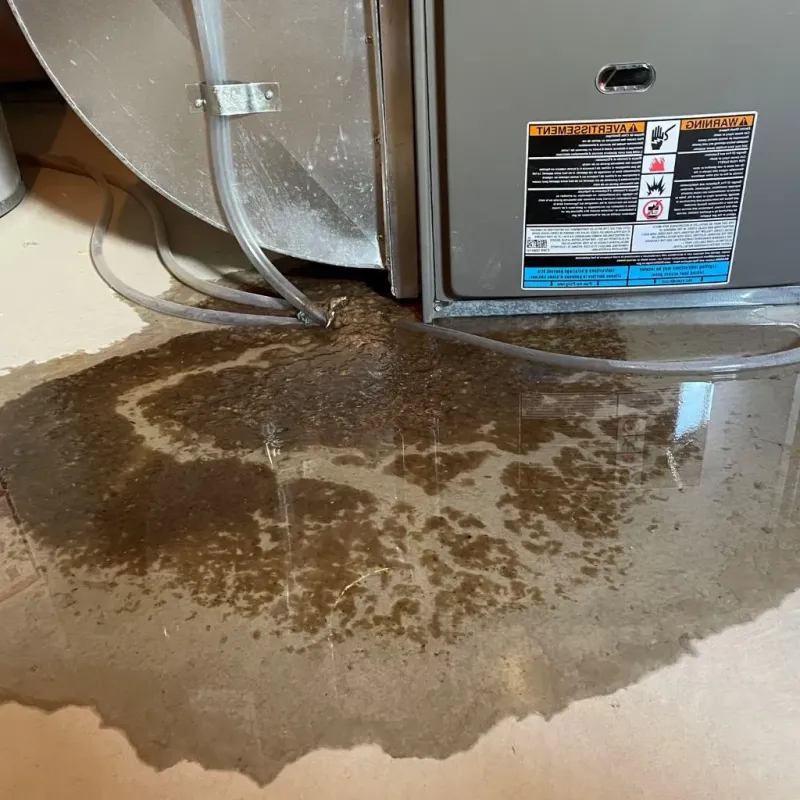 Pipe Burst and Leak Restoration in Kings County, CA